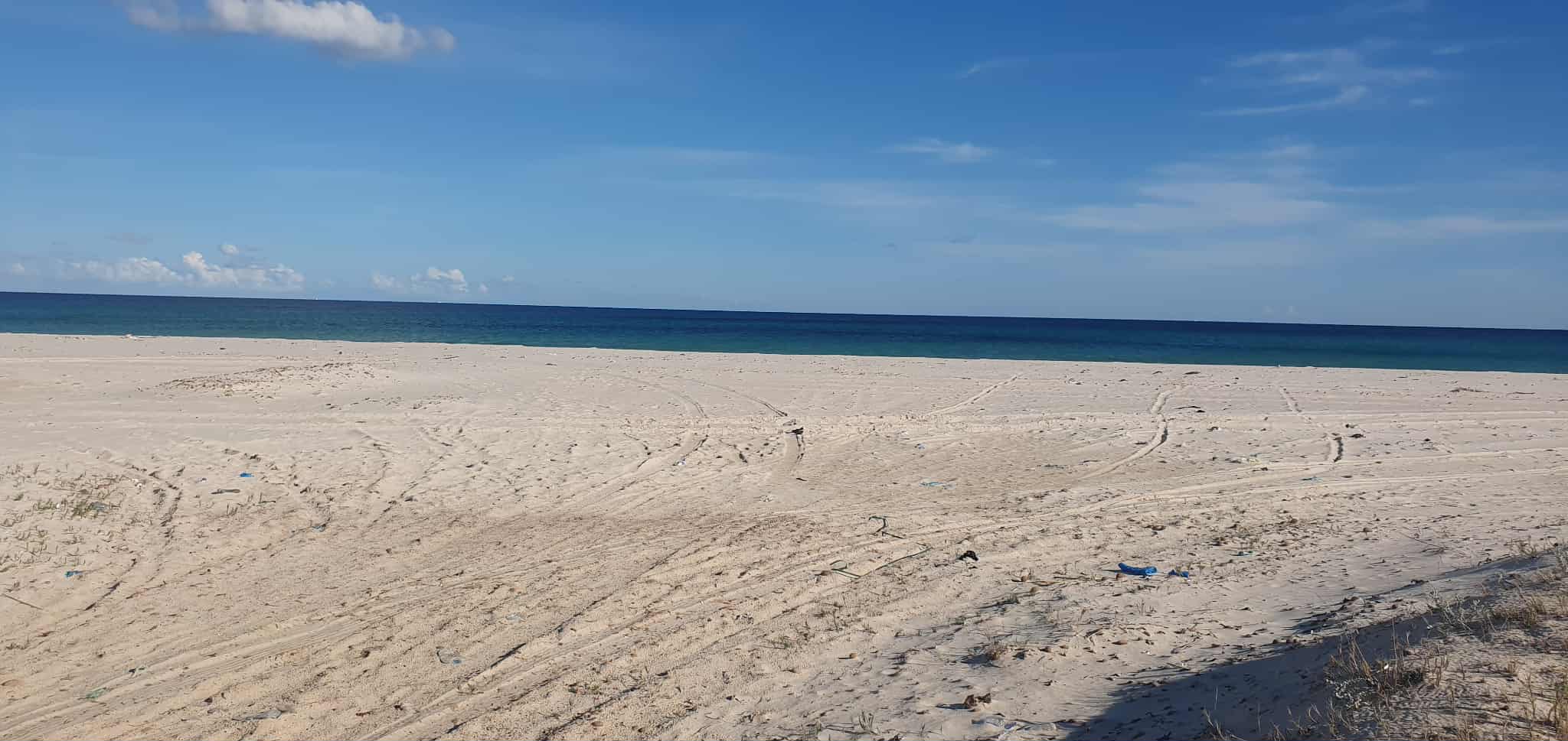 Menzel Temime Menzel Horr Terrain Terrain nu Terrain pied dans l'eau  manzel el hor