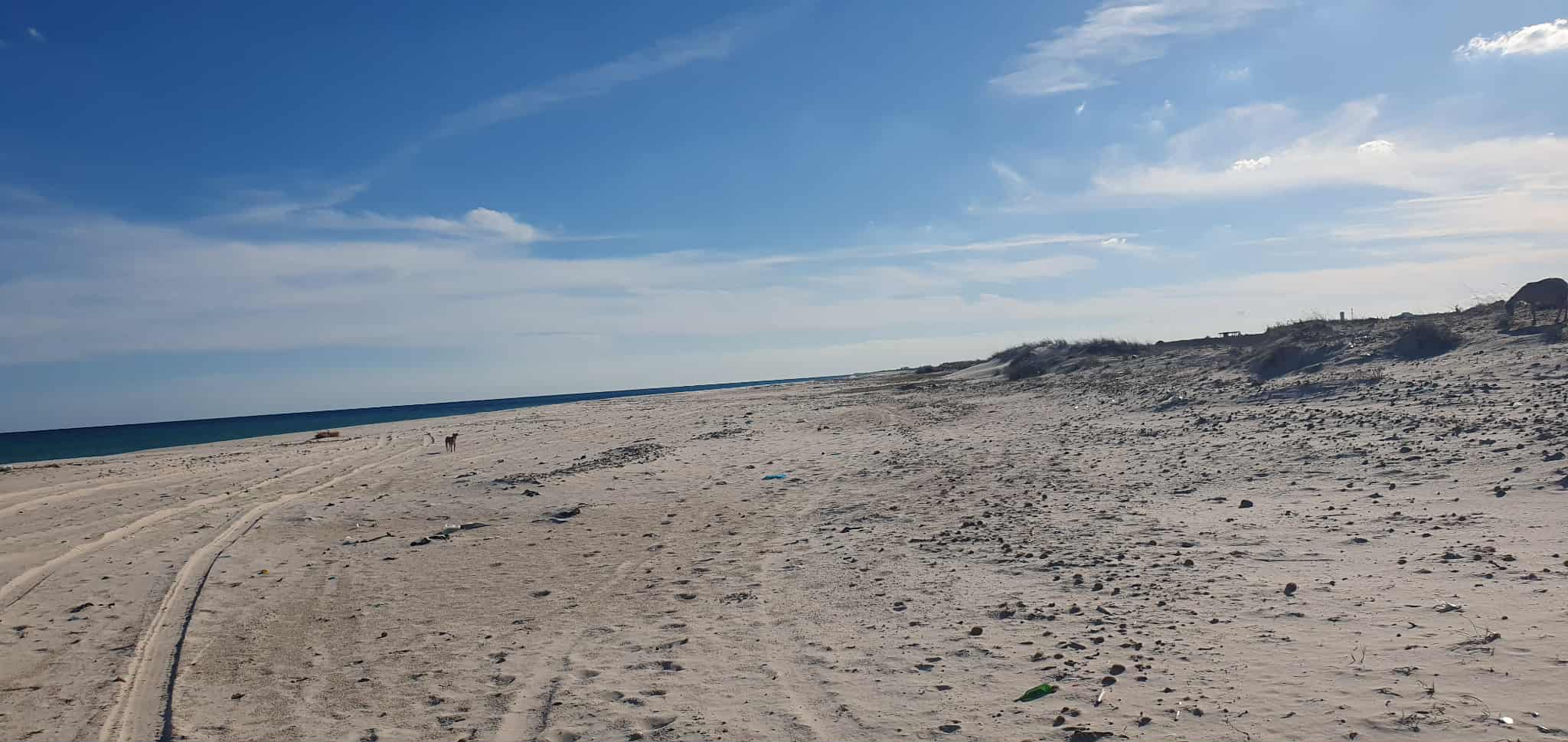 Menzel Temime Menzel Horr Terrain Terrain nu Terrain pied dans l'eau  manzel el hor