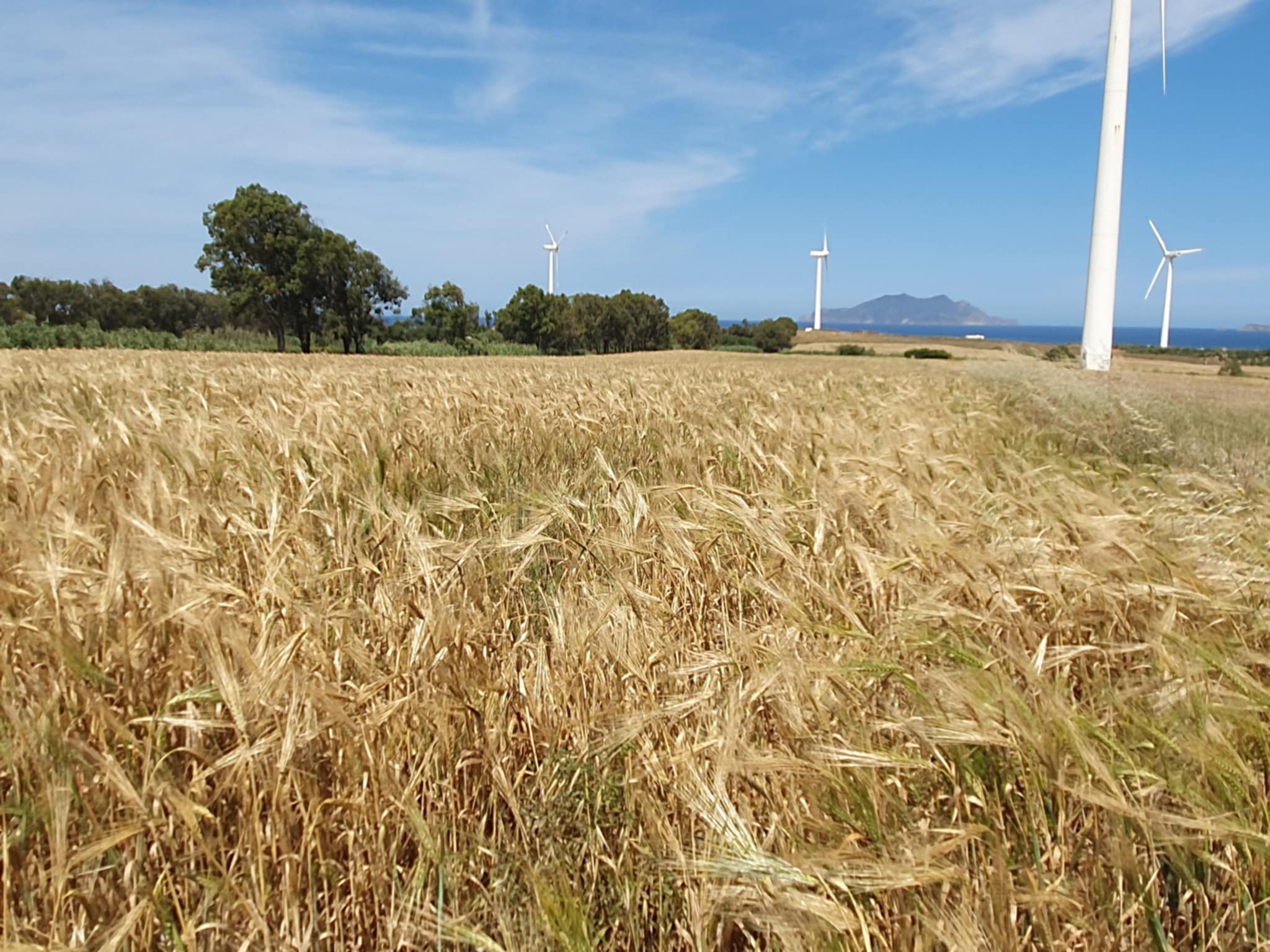 Terrain Terrain agricole