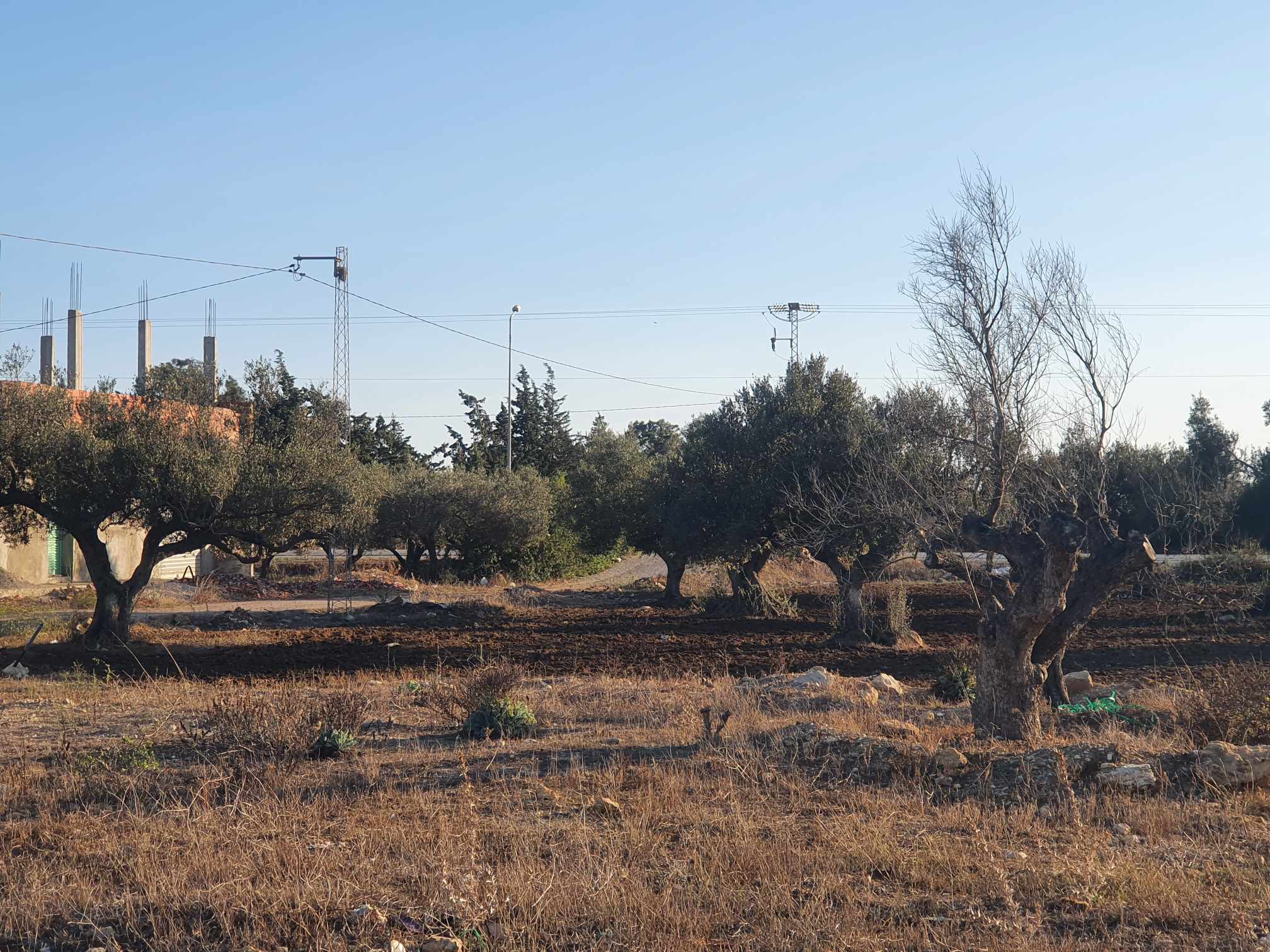 Kelibia Oued El Khatef Terrain Terrain nu Terrain  oued el khataf klibia