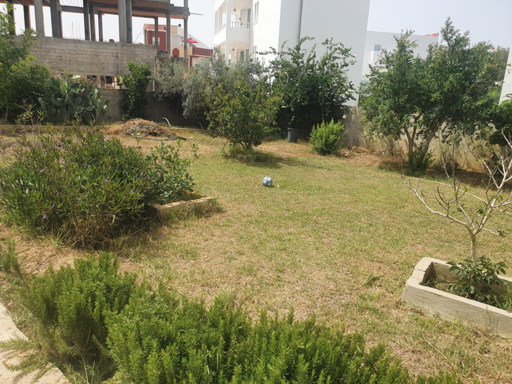 Hammam El Ghezaz Ezzahra Terrain Terrain nu Terrain 50m de la plage ezzahra klibia