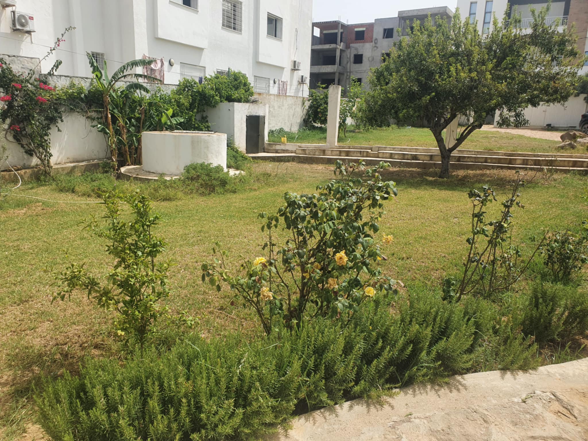 Hammam El Ghezaz Ezzahra Terrain Terrain nu Terrain 50m de la plage ezzahra klibia