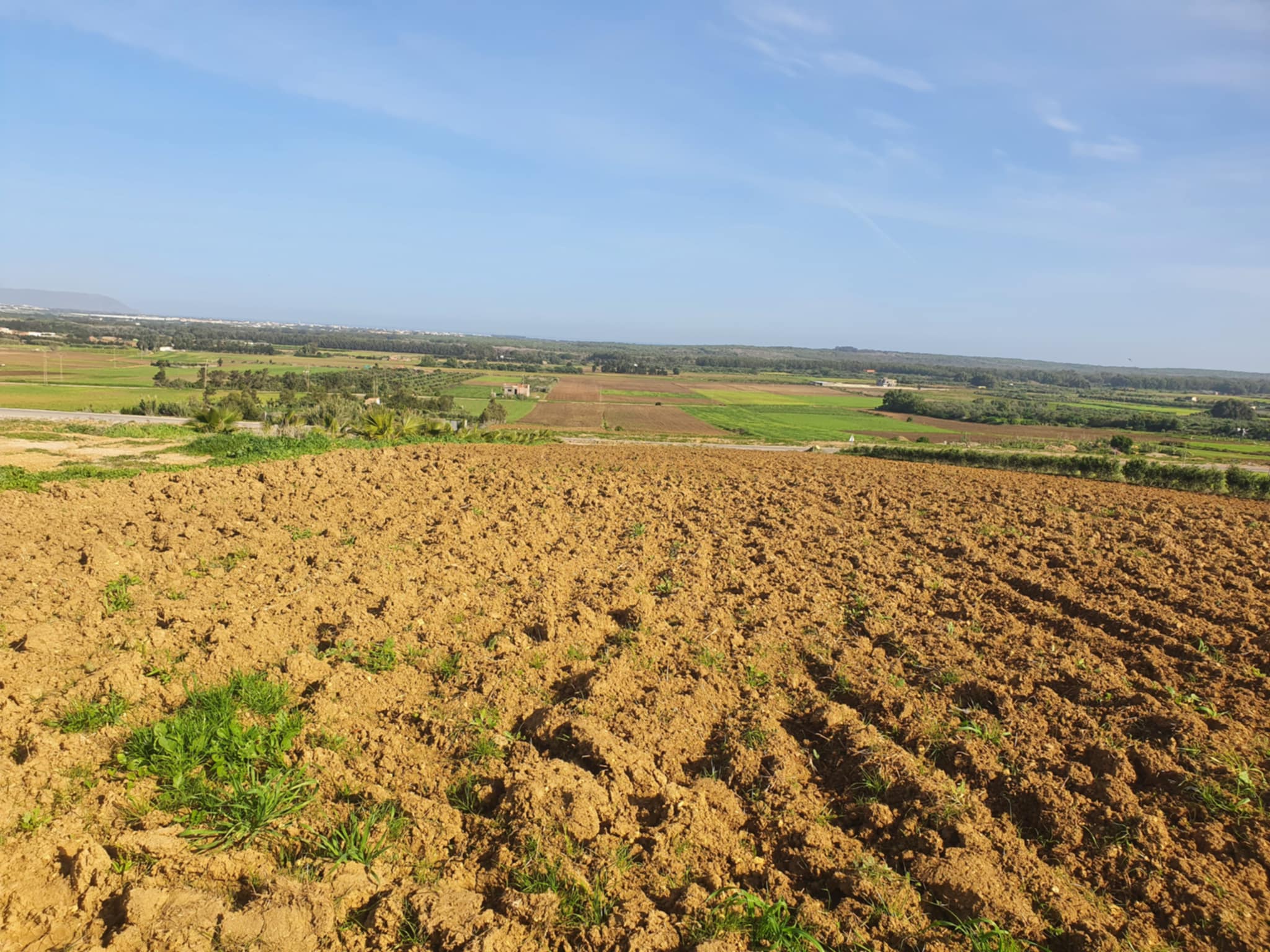 Terrain Terrain agricole