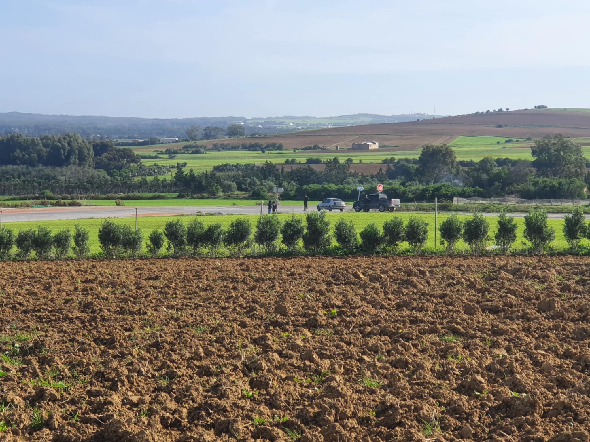 Kelibia Azmour Terrain Terrain agricole Terrain agricole sur la route klibia azmour