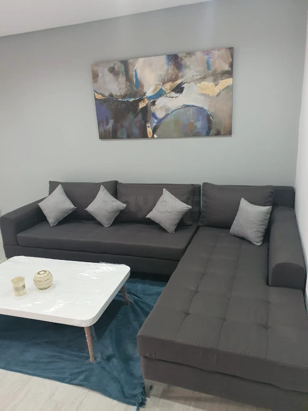 El Menzah El Menzah 9 Location Appart. 2 pices Appart s1 meubl neuf haut standing  menzah 9c