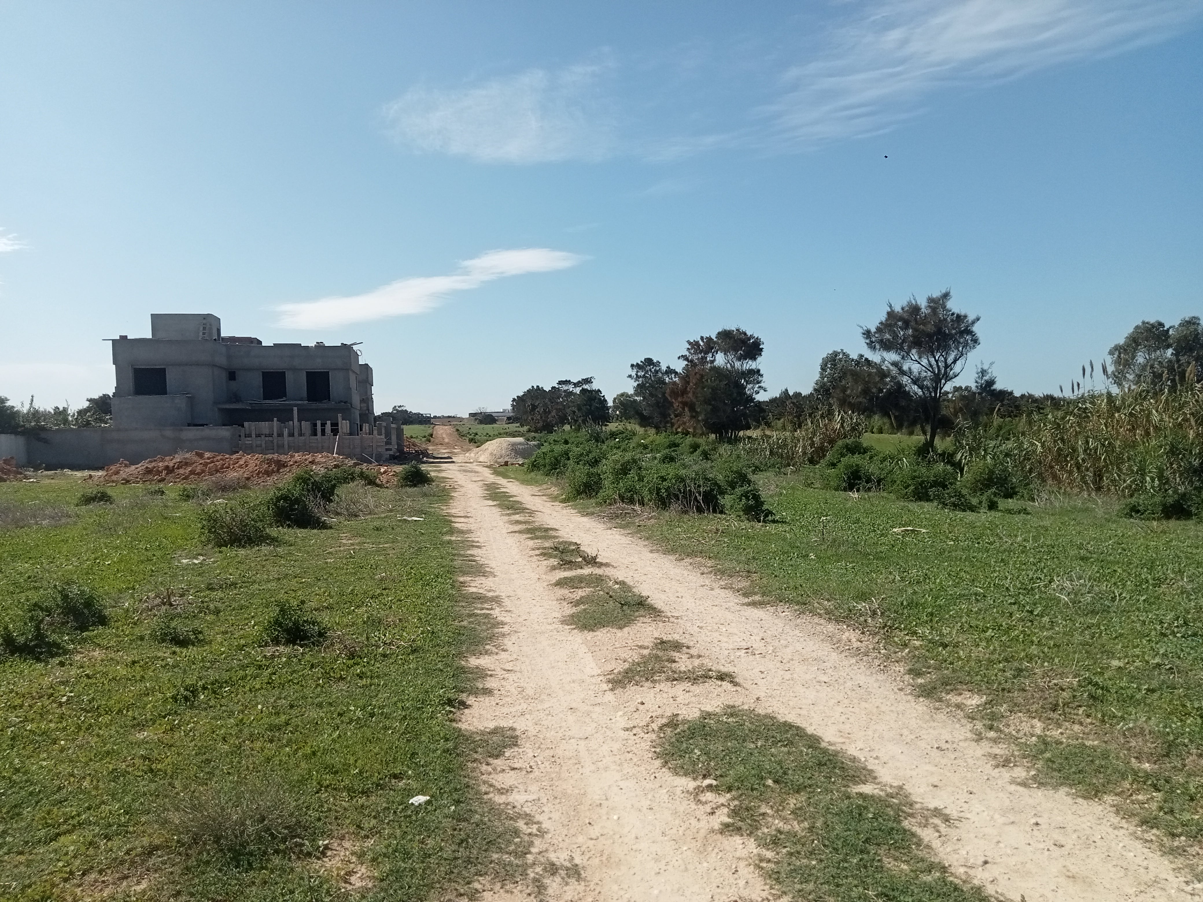 El Haouaria&nbsp;Charaf&nbsp;Terrain&nbsp;Terrain nu&nbsp;Des terrains pieds dans l'eau