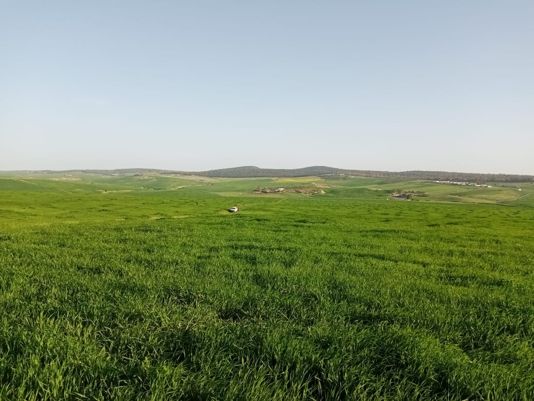 Terrain Terrain agricole