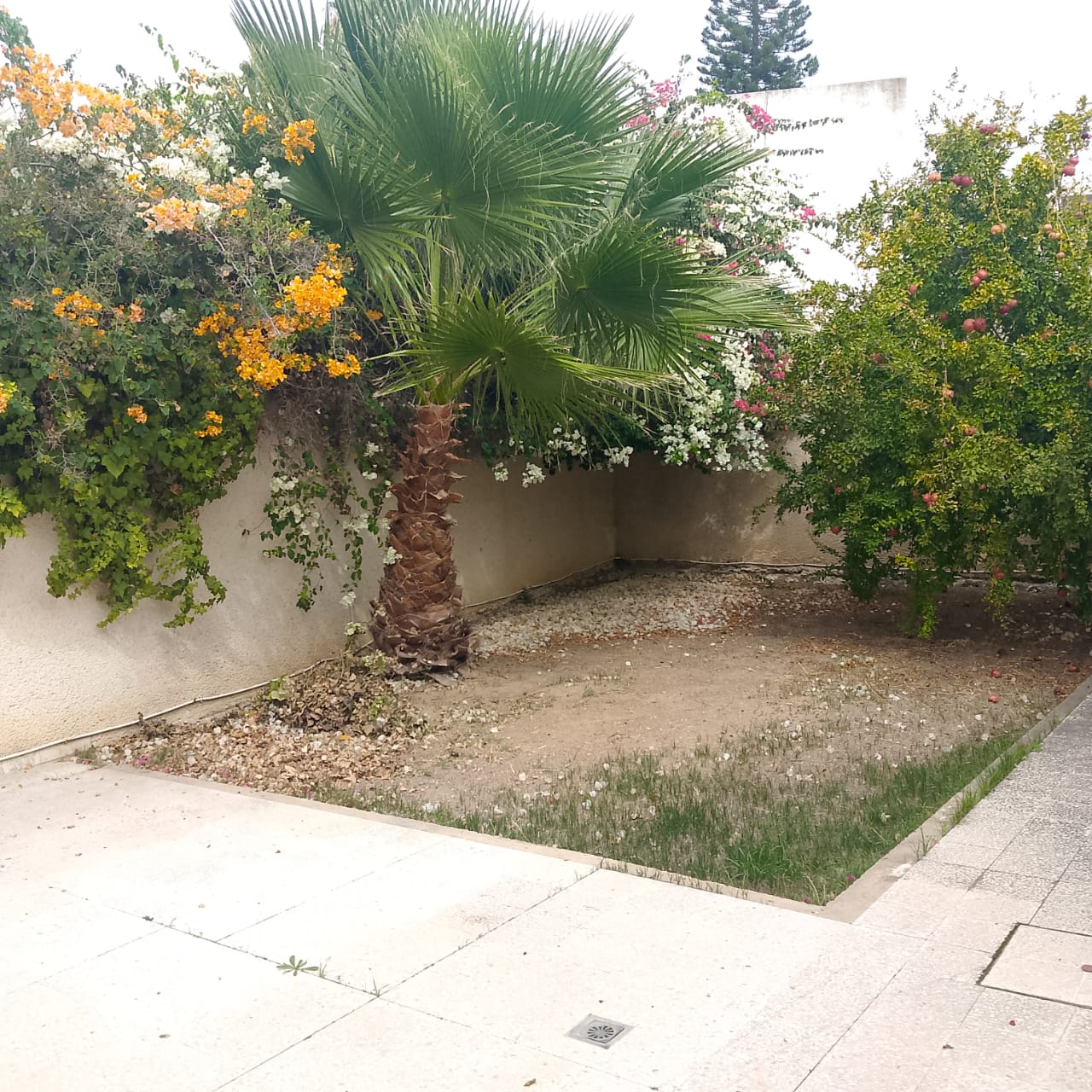 Ariana Ville El Menzah 6 Location Appart. 5 pices+ Un tage de villa de 5 pices  menzah6