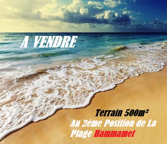 Terrain&nbsp;Terrain nu