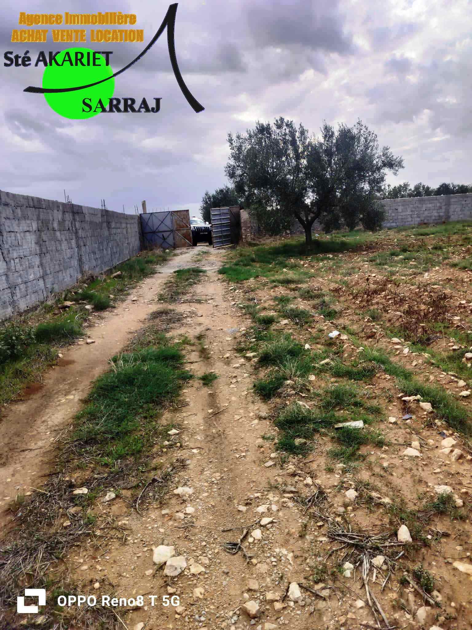 Kalaa El Kebira El Kraria Terrain Terrain agricole Senia 8 hectares et 6000m  kalaa kebira el kraria