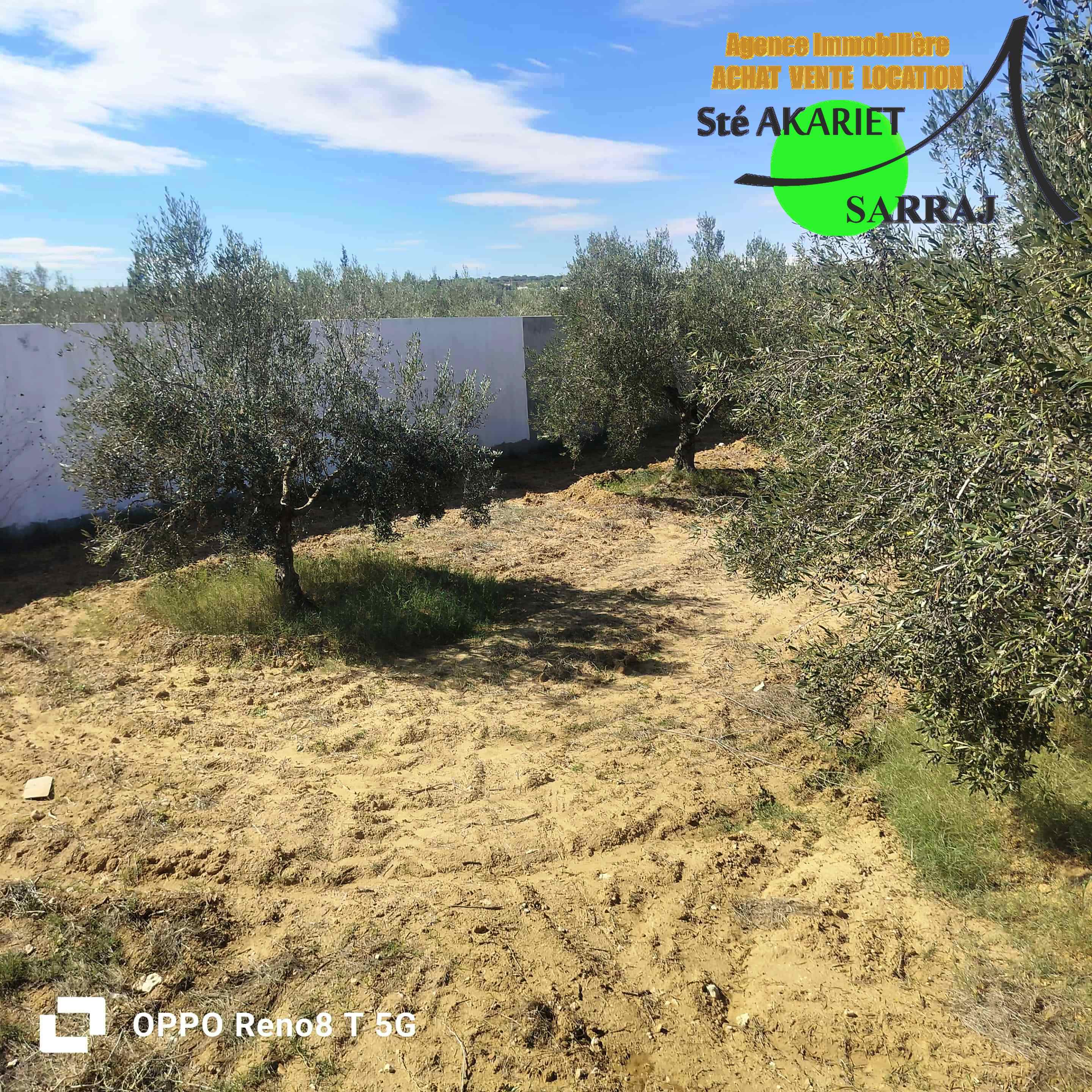 Akouda&nbsp;Chatt Meriem&nbsp;Terrain&nbsp;Terrain agricole&nbsp;Tr�s bon offre terrain cl�tur� 1000m � rmila