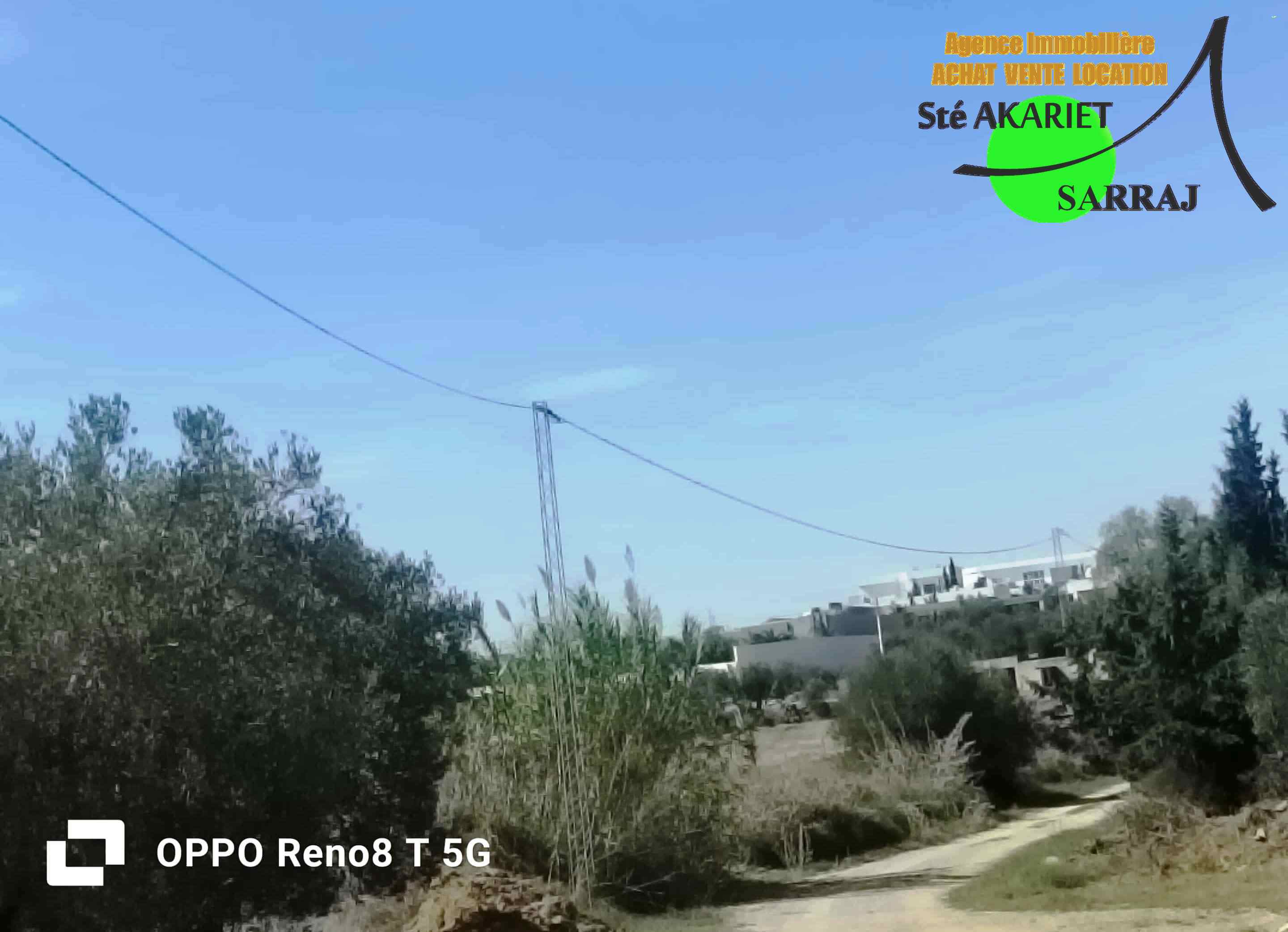 Terrain&nbsp;Terrain agricole