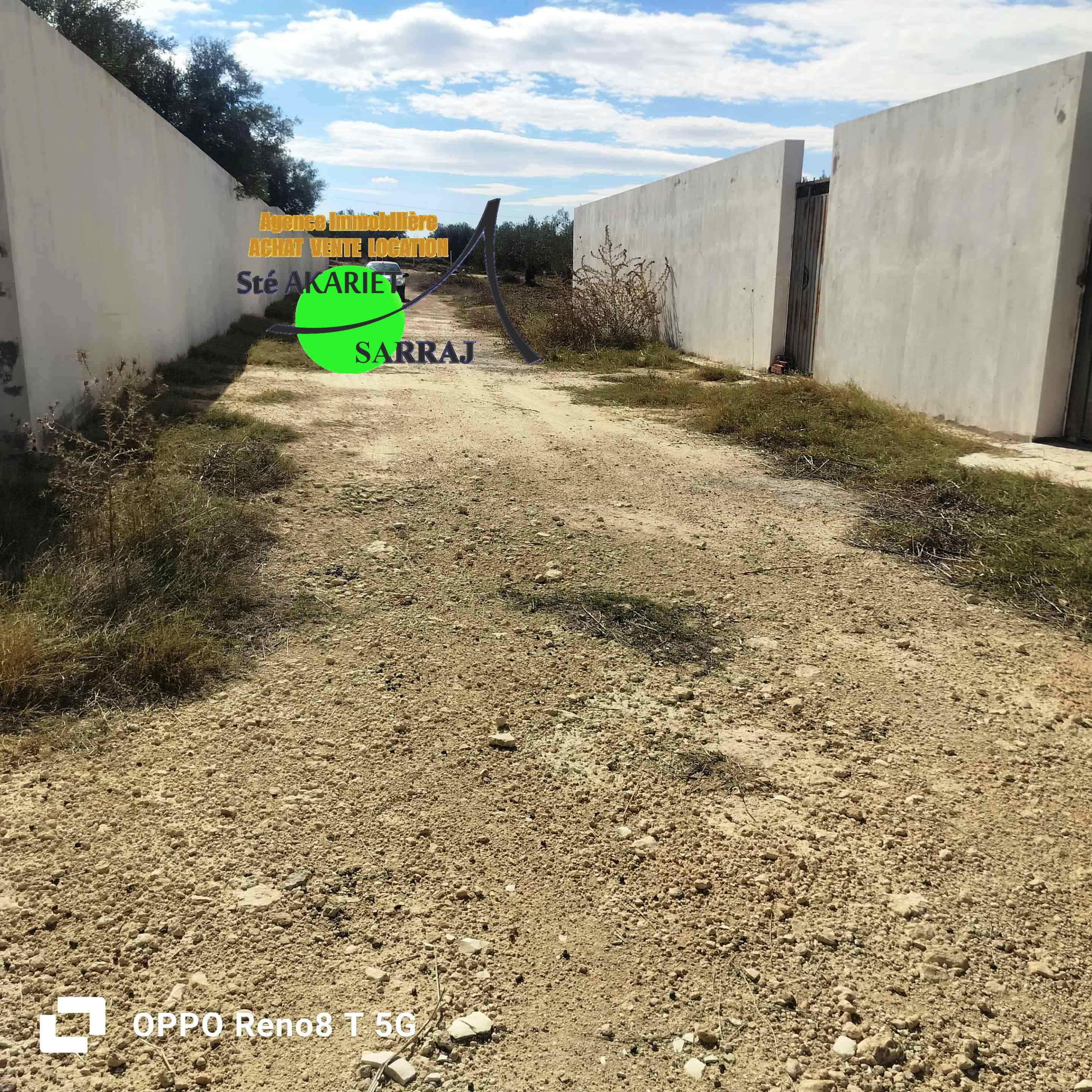 Akouda&nbsp;Chatt Meriem&nbsp;Terrain&nbsp;Terrain agricole&nbsp;Tr�s bon offre terrain cl�tur� 1000m � rmila