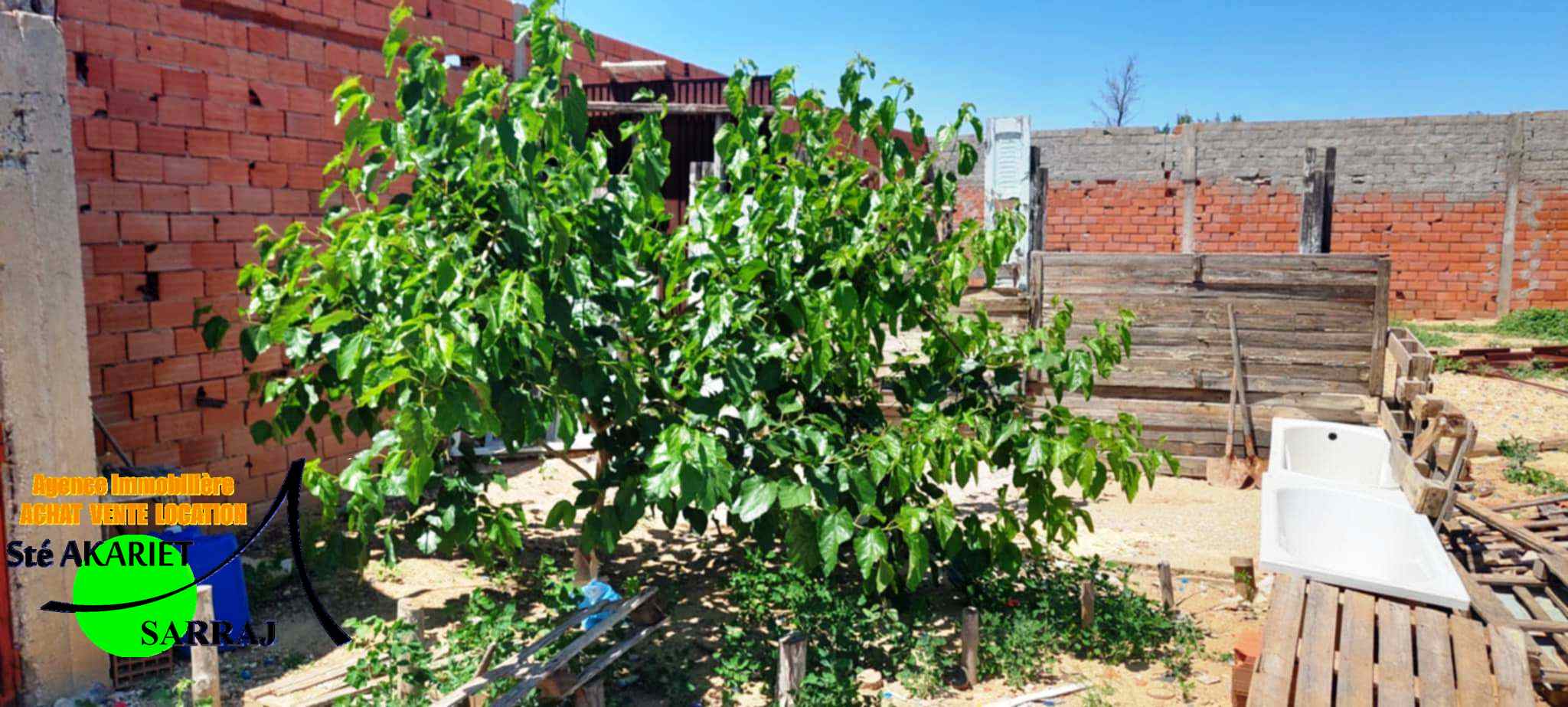 Kalaa El Kebira Kalaa El Kebira Terrain Terrain agricole Terrain agricole cltur 1000m  kalaa kebira
