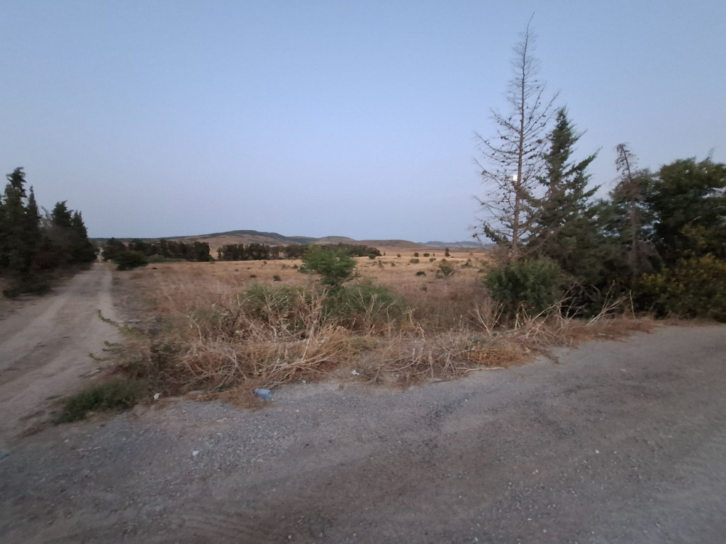 Mornag&nbsp;Mornag&nbsp;Terrain&nbsp;Terrain agricole&nbsp;Terrain agricole 2 ha � mornag