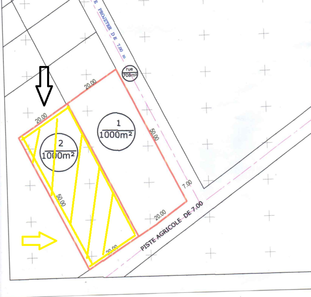 Grombalia Fondouk Jedid Terrain Terrain agricole Terrain agricole titr 1000 m2