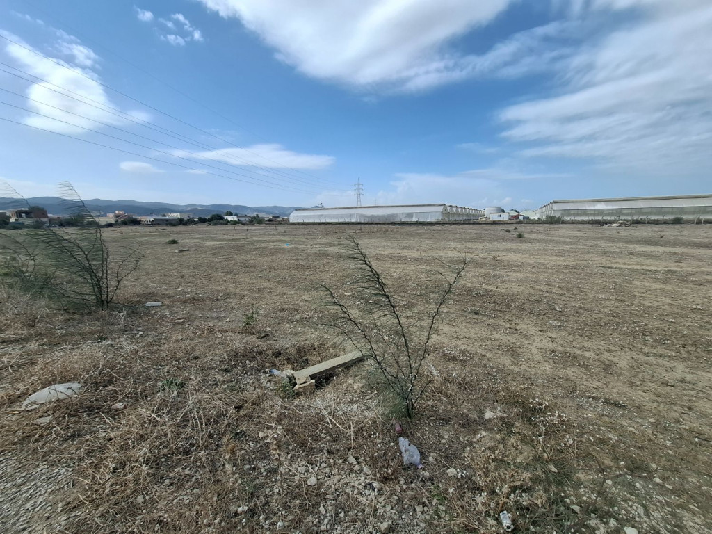 Grombalia Fondouk Jedid Terrain Terrain agricole Terrain agricole titr 1000 m2