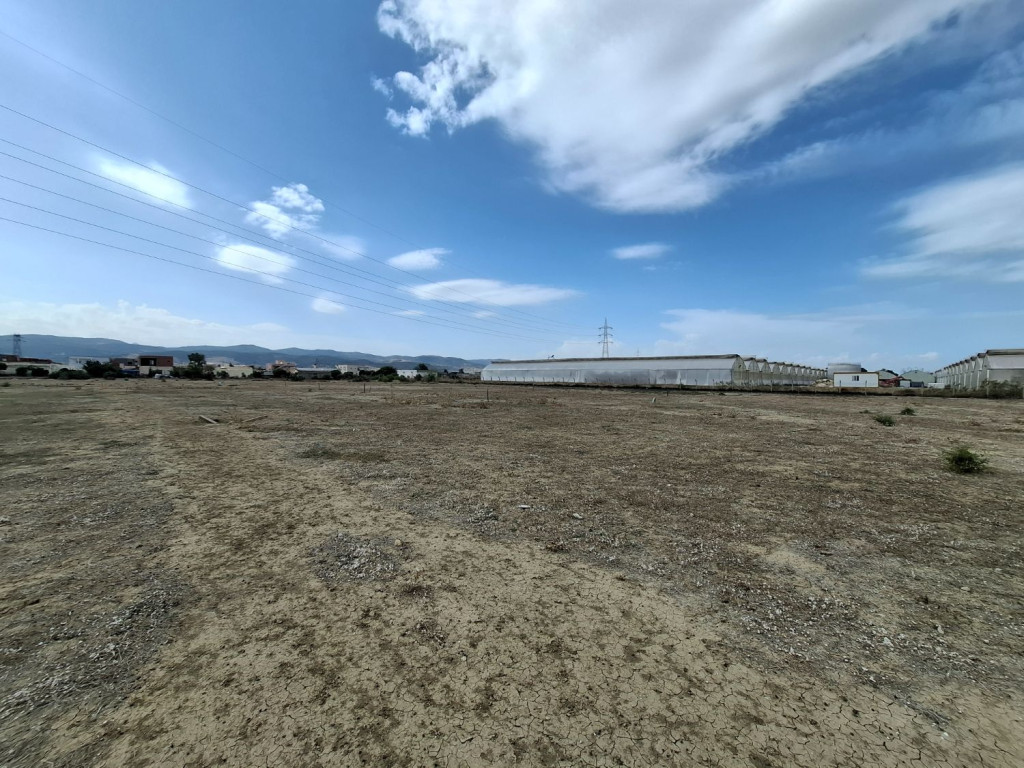 Grombalia Fondouk Jedid Terrain Terrain agricole Terrain agricole titr 1000 m2