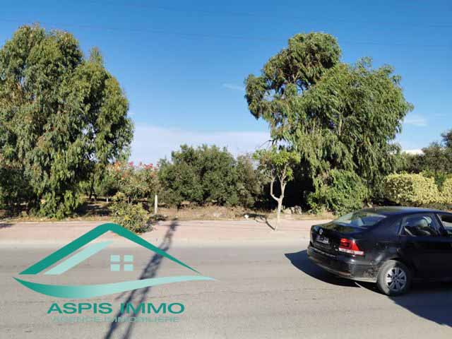 Kelibia Kelibia Vente Surfaces Vt684 terrain commercial 13 500 m2  kelibia
