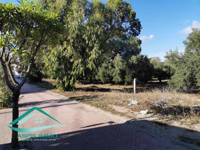 Kelibia Kelibia Vente Surfaces Vt684 terrain commercial 13 500 m2  kelibia