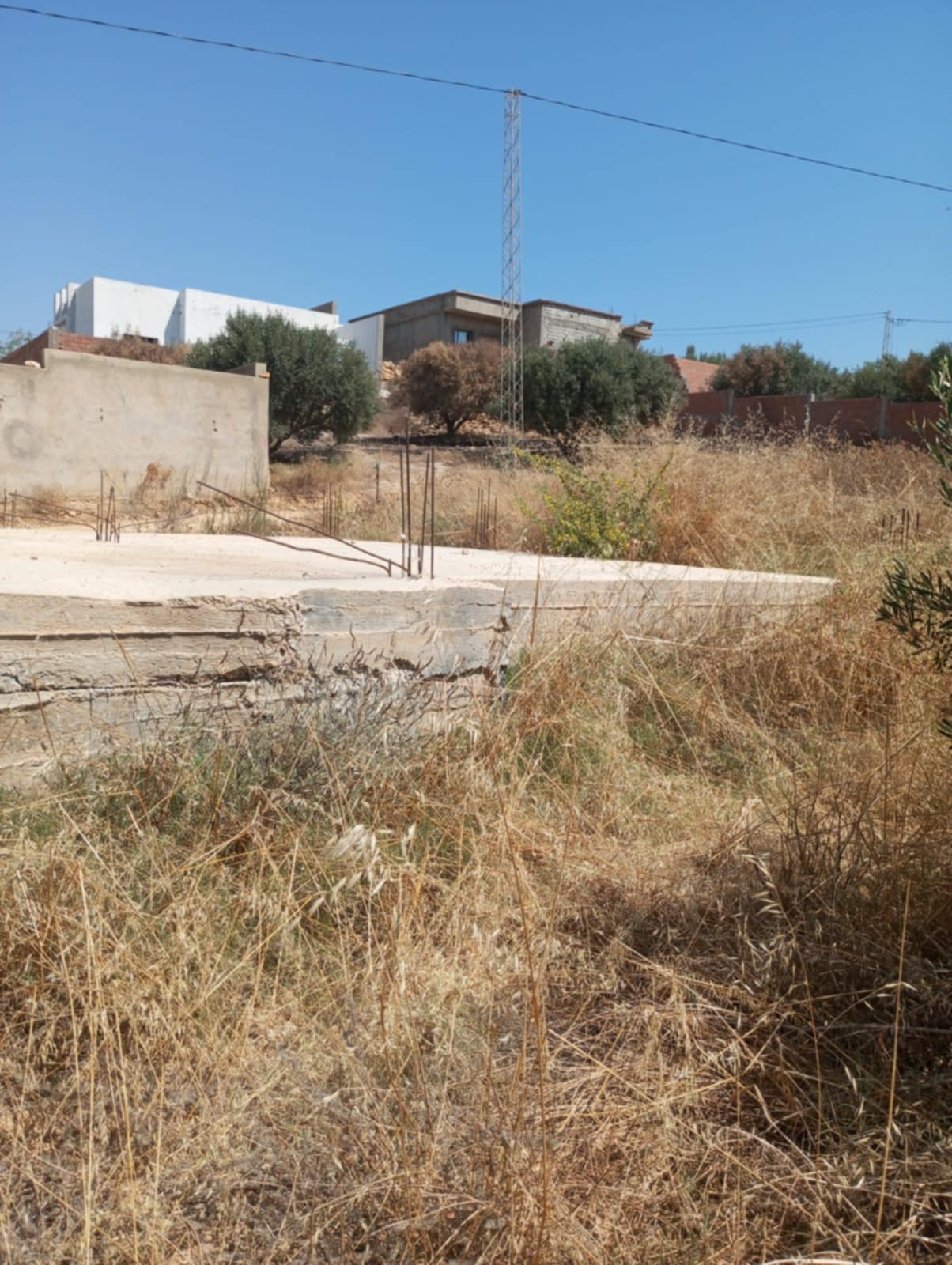 Hammamet&nbsp;Hammamet&nbsp;Terrain&nbsp;Terrain nu&nbsp;Av terrain 200m avec fondation � hammamet