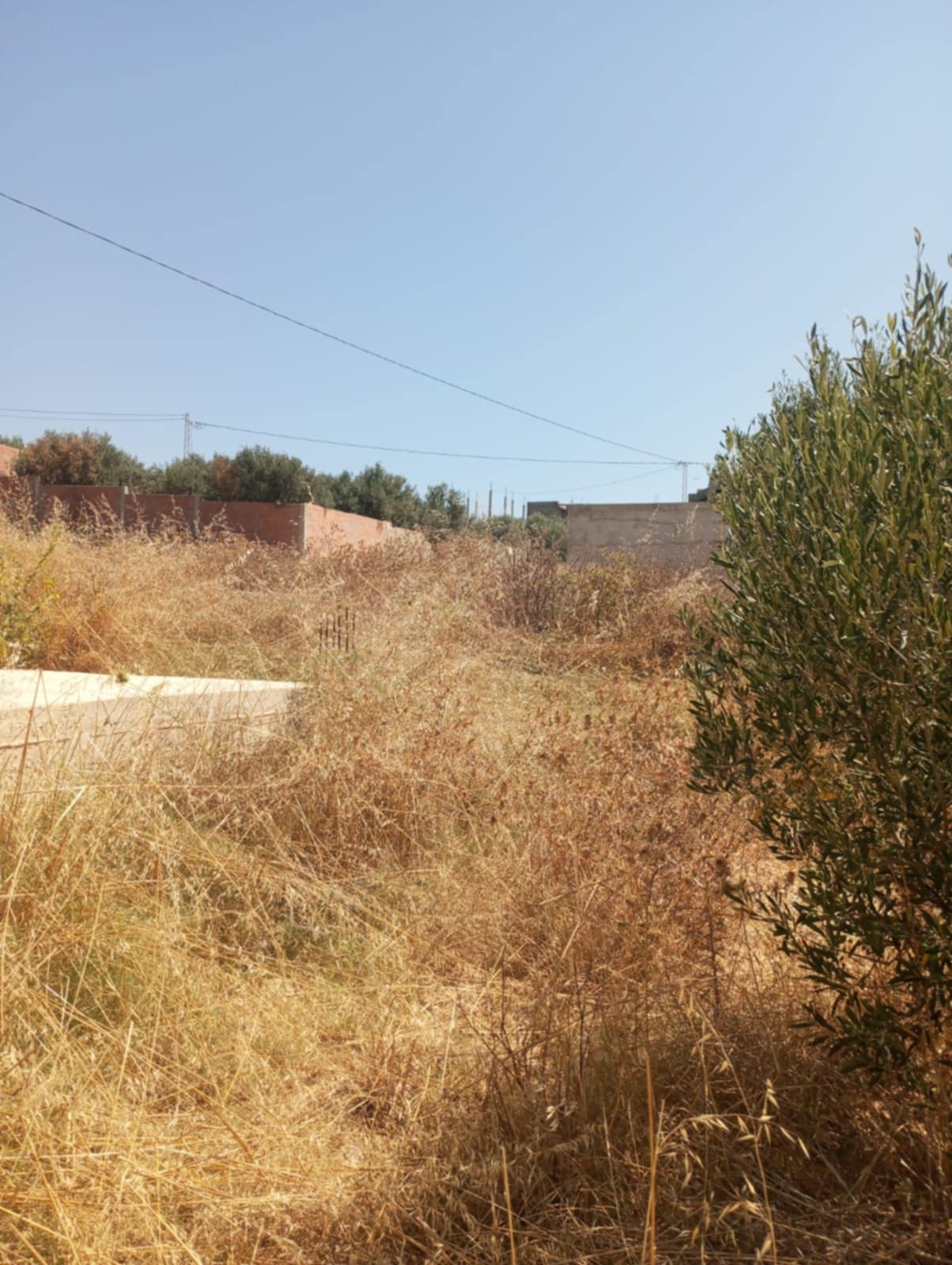 Hammamet&nbsp;Hammamet&nbsp;Terrain&nbsp;Terrain nu&nbsp;Av terrain 200m avec fondation � hammamet