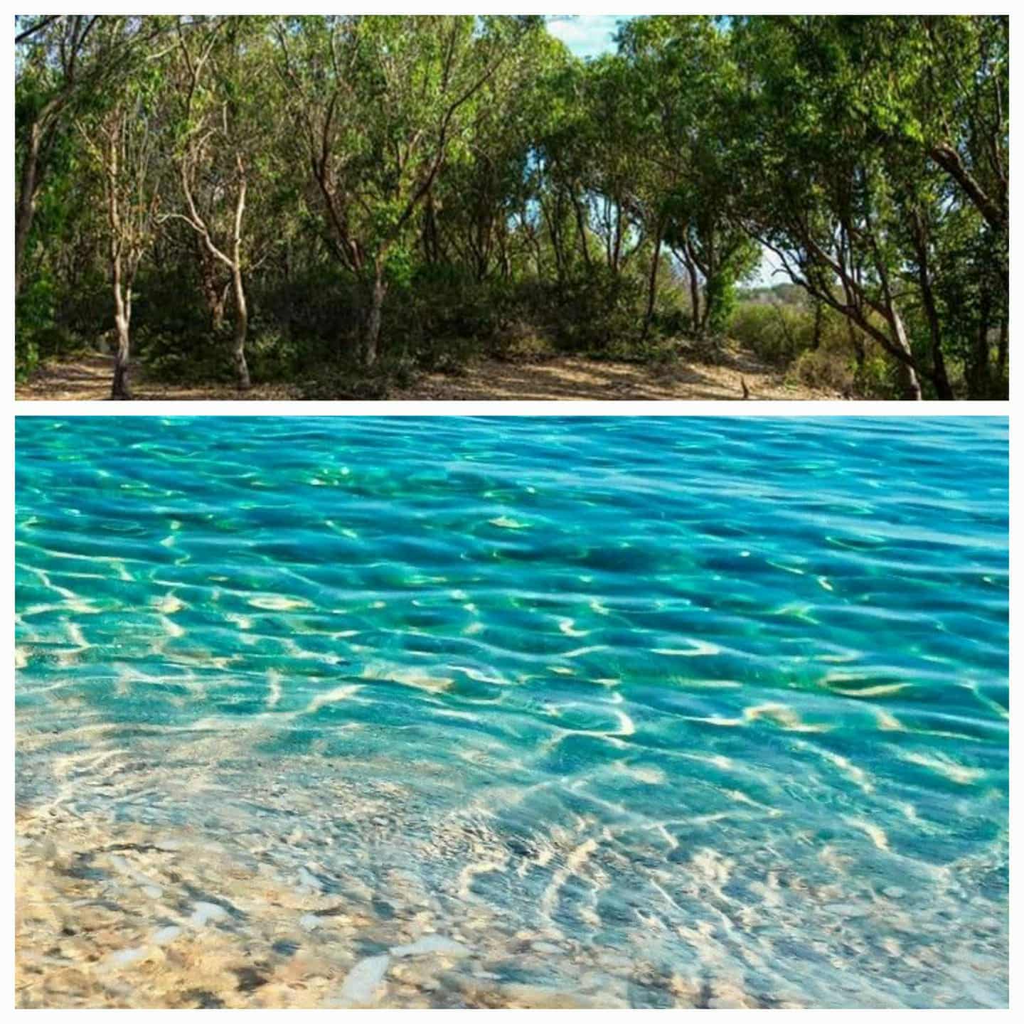 Terrain&nbsp;Terrain agricole