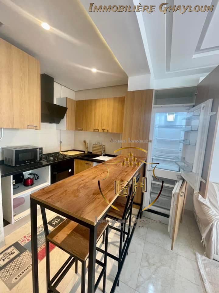 El Menzah El Menzah 9 Location Appart. 2 pices S1 meubl moderne   menzah 9c