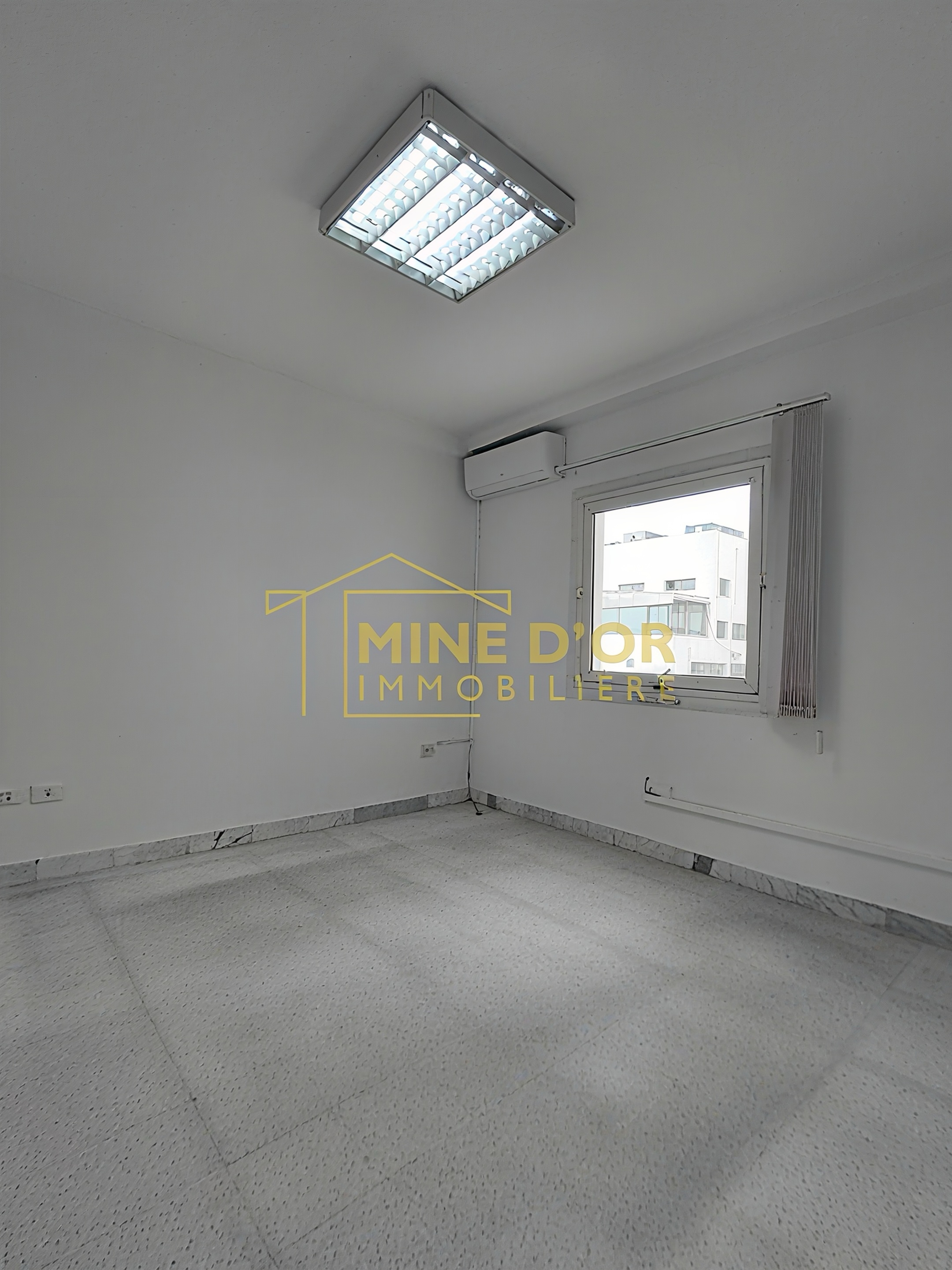 Bab Bhar Montplaisir Bureaux & Commerces Bureau Bureau accueil plus 3 pices  monplaisir