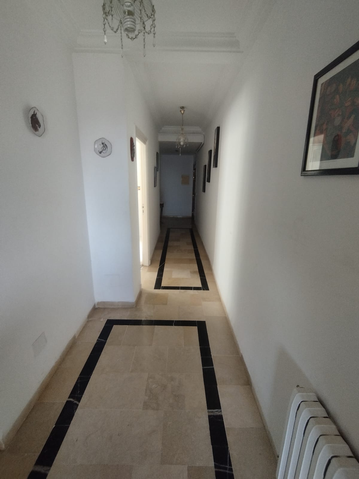Ariana Ville&nbsp;Cite Ennasr 2&nbsp;Location&nbsp;Appart. 2 pi�ces&nbsp;S1 meubl� avec une grande terrasse