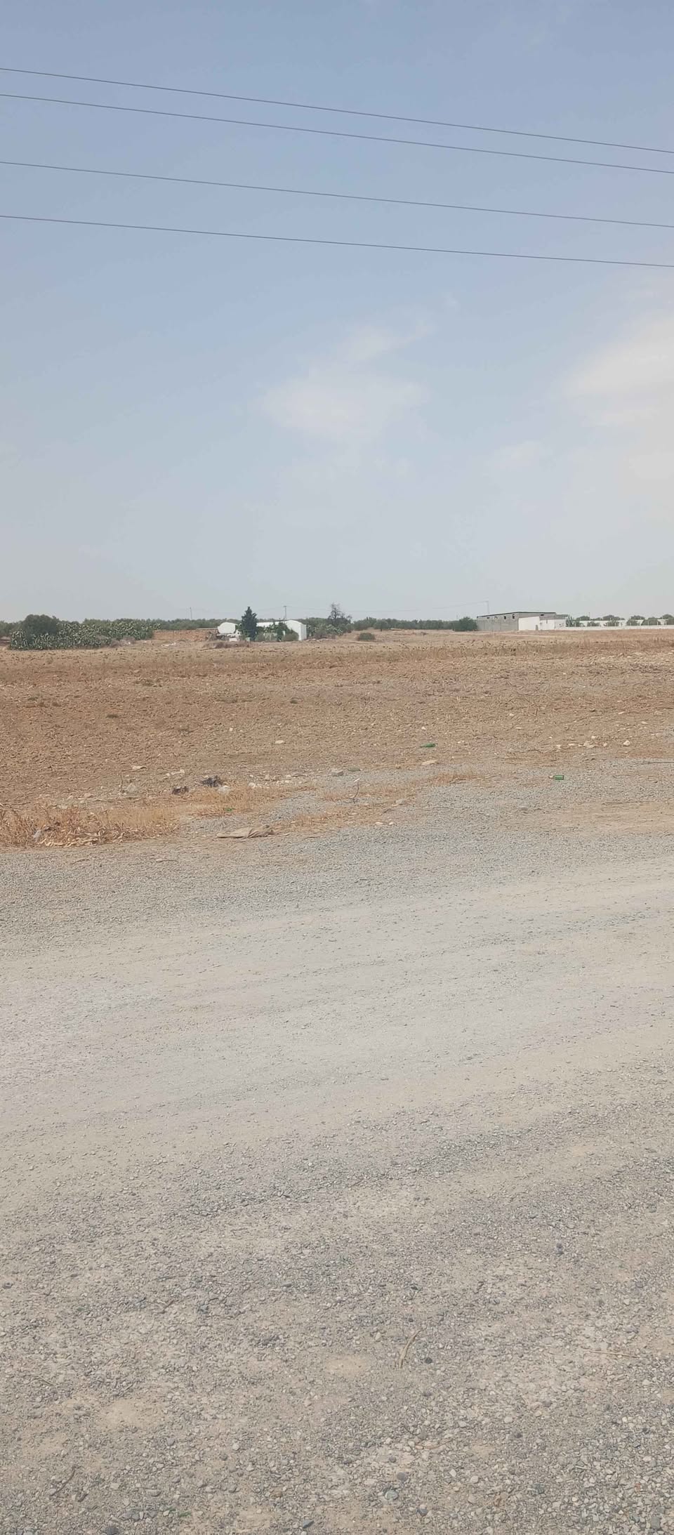 Goubellat Goubellat Terrain Terrain agricole Terrain sur la route