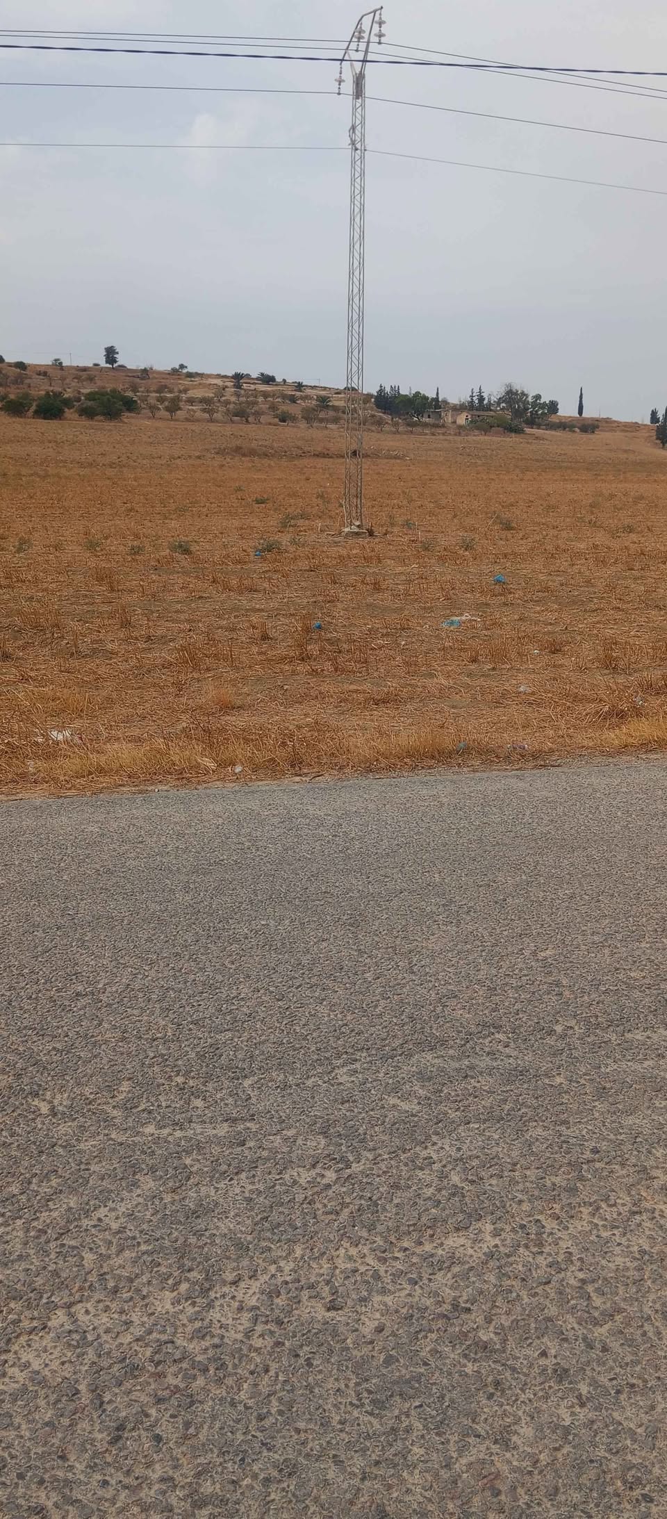 Terrain Terrain agricole