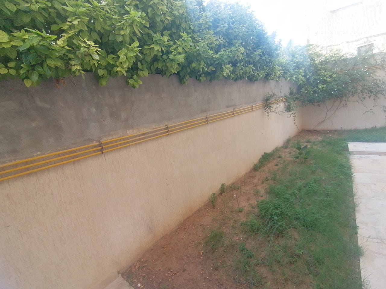 Ain Zaghouan Ain Zaghouan Location Appart. 1 pice Un appartement en s1  ain zaghouen nord