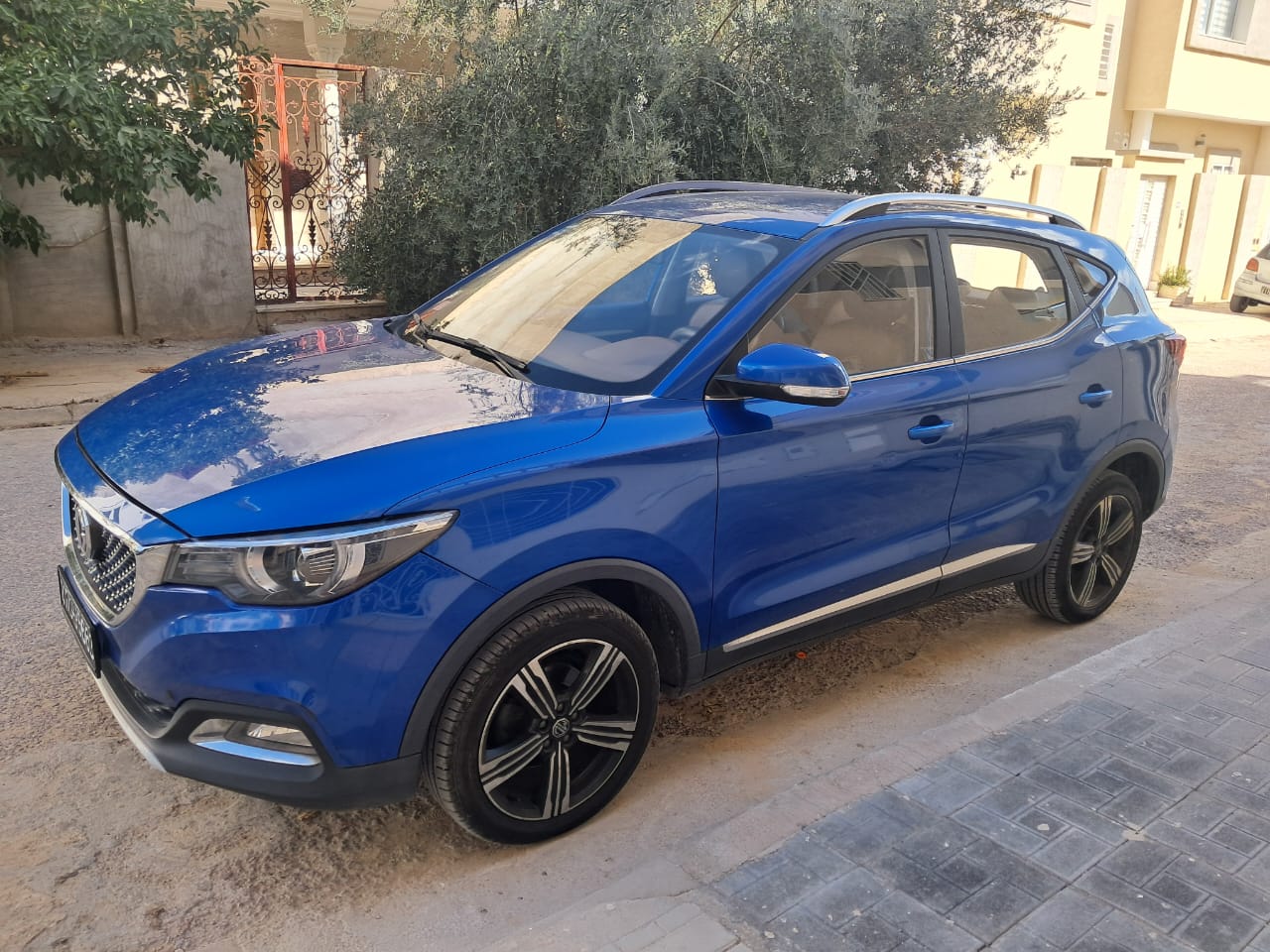 Mg ZS