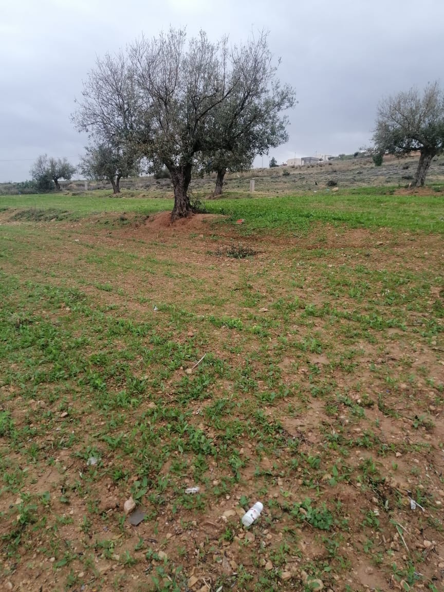 Terrain Terrain agricole