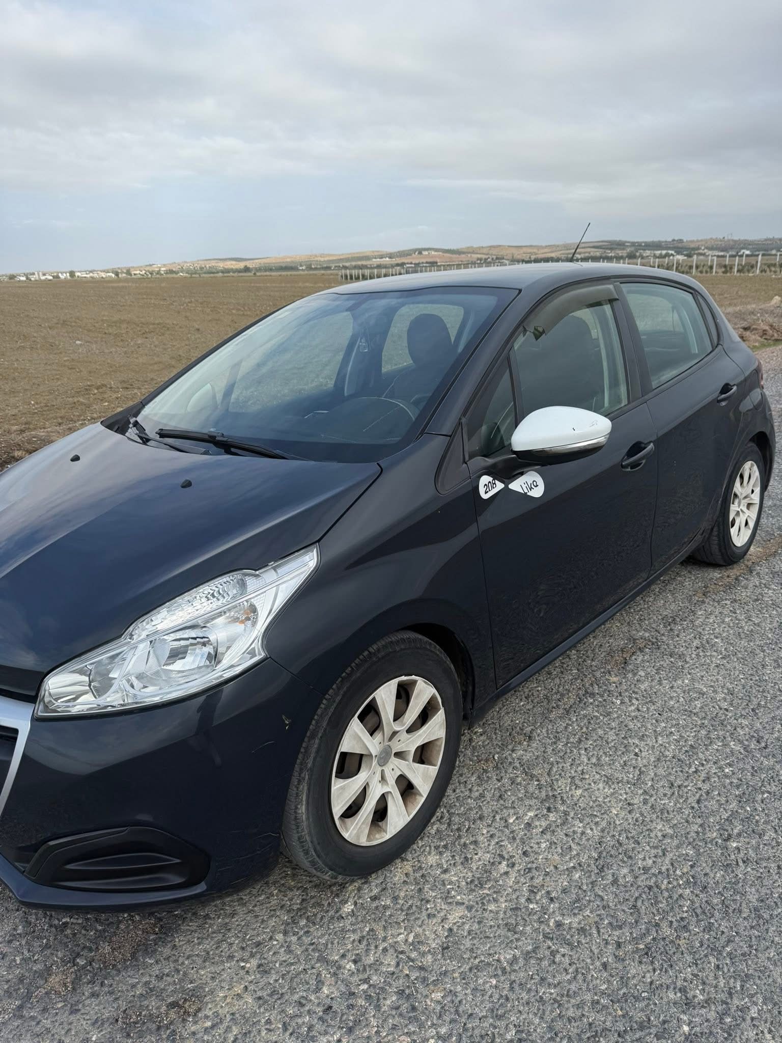Peugeot 208