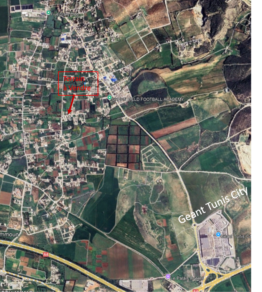 Raoued&nbsp;Borj Touil&nbsp;Terrain&nbsp;Terrain nu&nbsp;Affaire � saisir terrain nu