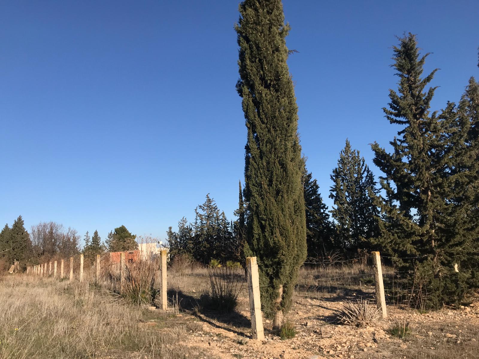 Le Kef Ouest Kef Ouest Terrain Terrain nu Tres joli terrain nu affaire d'avenir