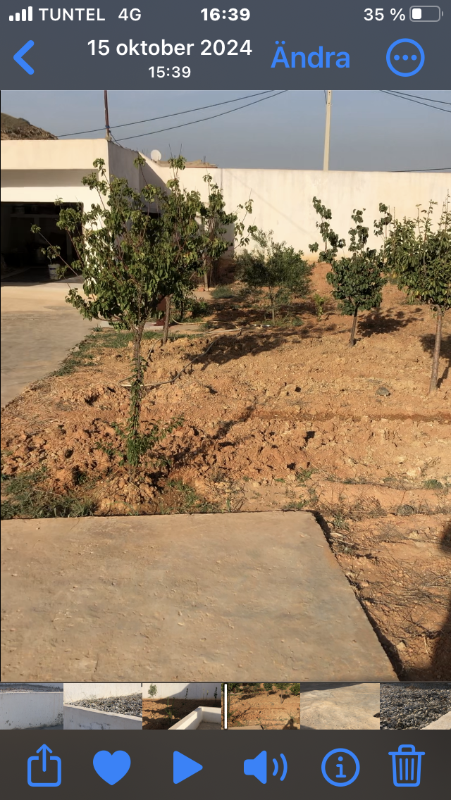 Terrain Terrain agricole