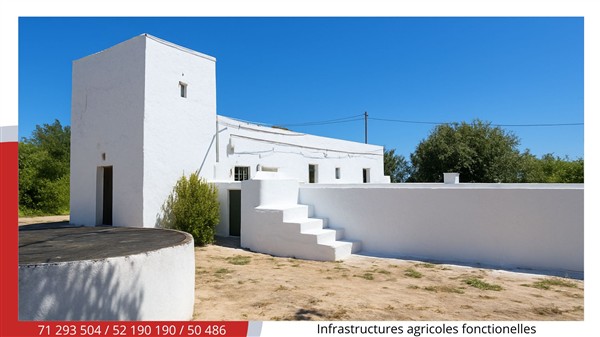 Soliman Soliman Terrain Terrain agricole Terrain agricole d'agrumes de 5 ha