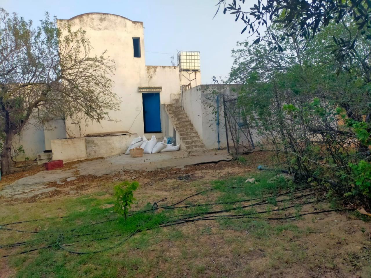 Bou Argoub Borj Hafaiedh Terrain Terrain agricole Verger un hectare et demi avec oliviers et agrumes