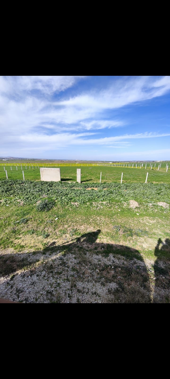 Mornaguia El Fejja Terrain Terrain nu Terrain el fejja prix unique