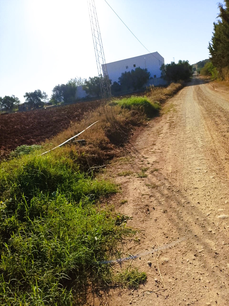 Sidi Thabet Sidi Thabet Terrain Terrain nu Lots de terrain de 1000 m situs  sidi thabet