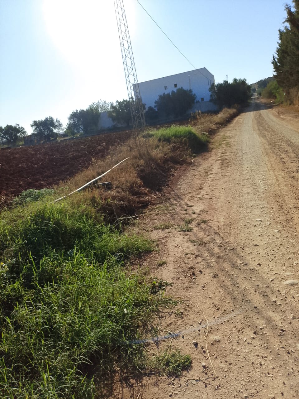 Sidi Thabet Sidi Thabet Terrain Terrain nu Lots de terrain de 1000 m situs  sidi thabet