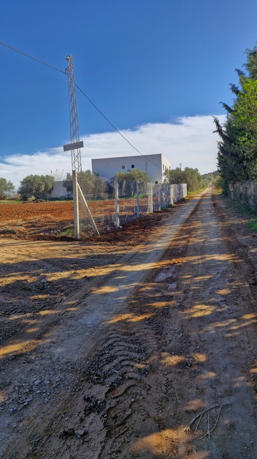 Sidi Thabet Sidi Thabet Terrain Terrain nu Terrain de 1000 m situs  sidi thabet