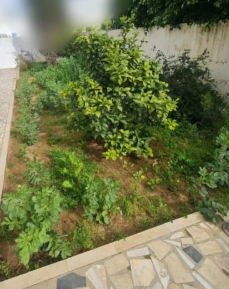 Location Appart. 3 pices