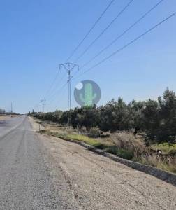 Nabeul Nabeul Vente Surfaces   terrain agricole de 9460m ref627a