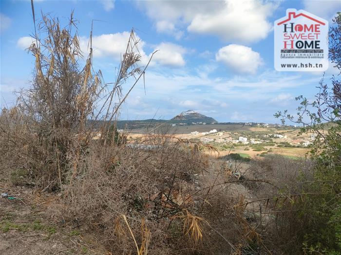 Bizerte Sud&nbsp;Ain El Berda&nbsp;Terrain&nbsp;Terrain nu&nbsp;Terrain villa elora � a�n berda bizerte
