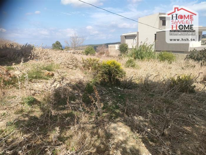 Bizerte Sud&nbsp;Ain El Berda&nbsp;Terrain&nbsp;Terrain nu&nbsp;Terrain villa elora � a�n berda bizerte
