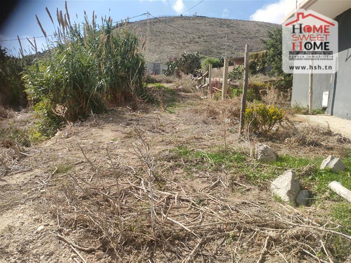 Bizerte Sud&nbsp;Ain El Berda&nbsp;Terrain&nbsp;Terrain nu&nbsp;Terrain villa elora � a�n berda bizerte